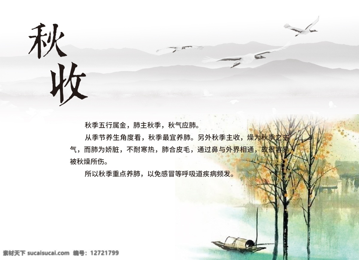 秋封面 秋收 水墨 养生