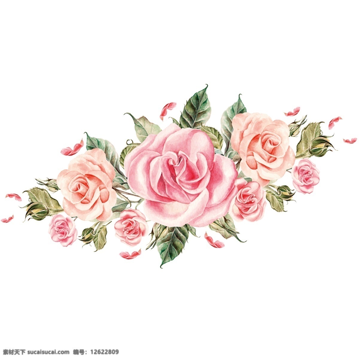 浪漫 粉色 玫瑰花 装饰 元素 装饰元素 手绘 花束 花朵 盛开 花瓣 简约