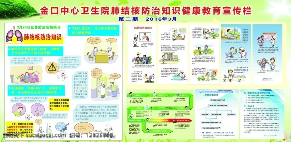 肺结核 健康教育 知识 宣传栏 防治知识 传播途径 症状 结核病防治 预防结核病 处置流程图 绿色背景 写真