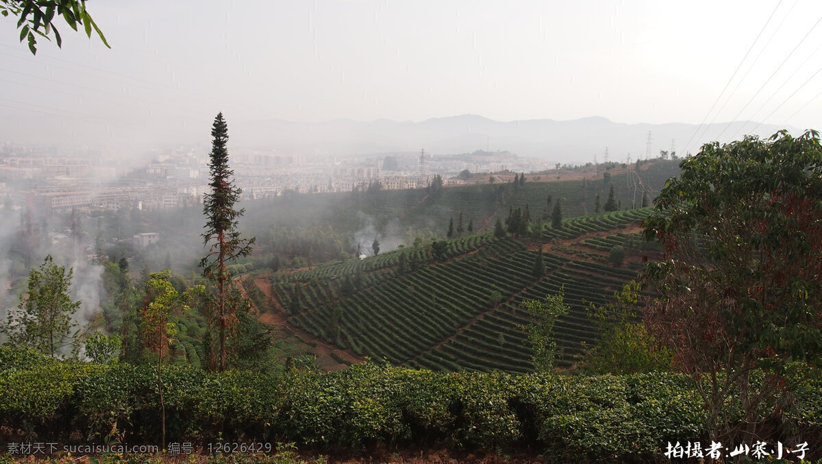 普洱万亩茶园 云南 普洱 万亩 茶园 普洱茶园 茶山 台地茶 生态茶 自然风景 旅游摄影