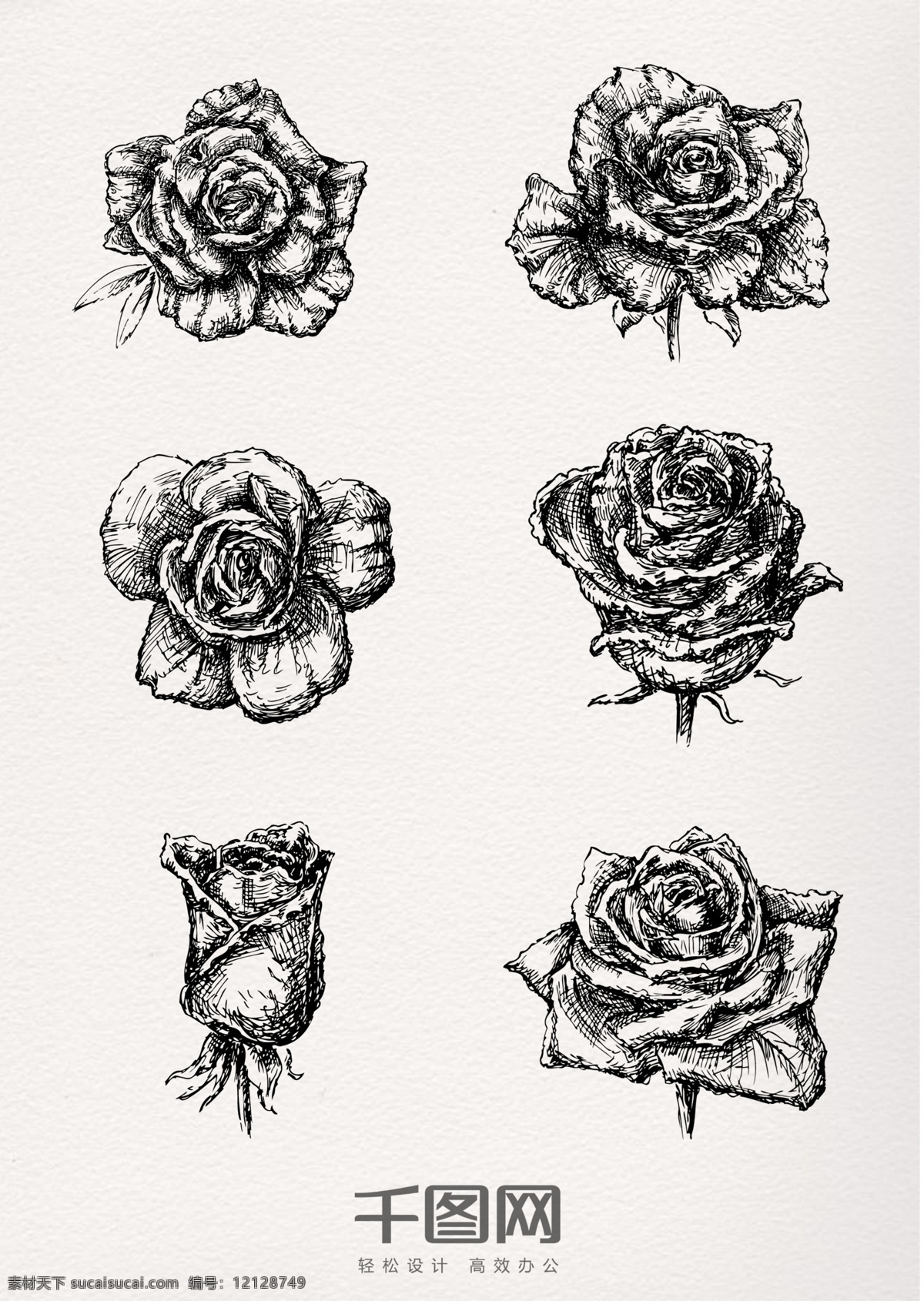 手绘 素描 立体 玫瑰花 铅笔画 玫瑰 植物 花朵 花苞 花骨朵 黑白