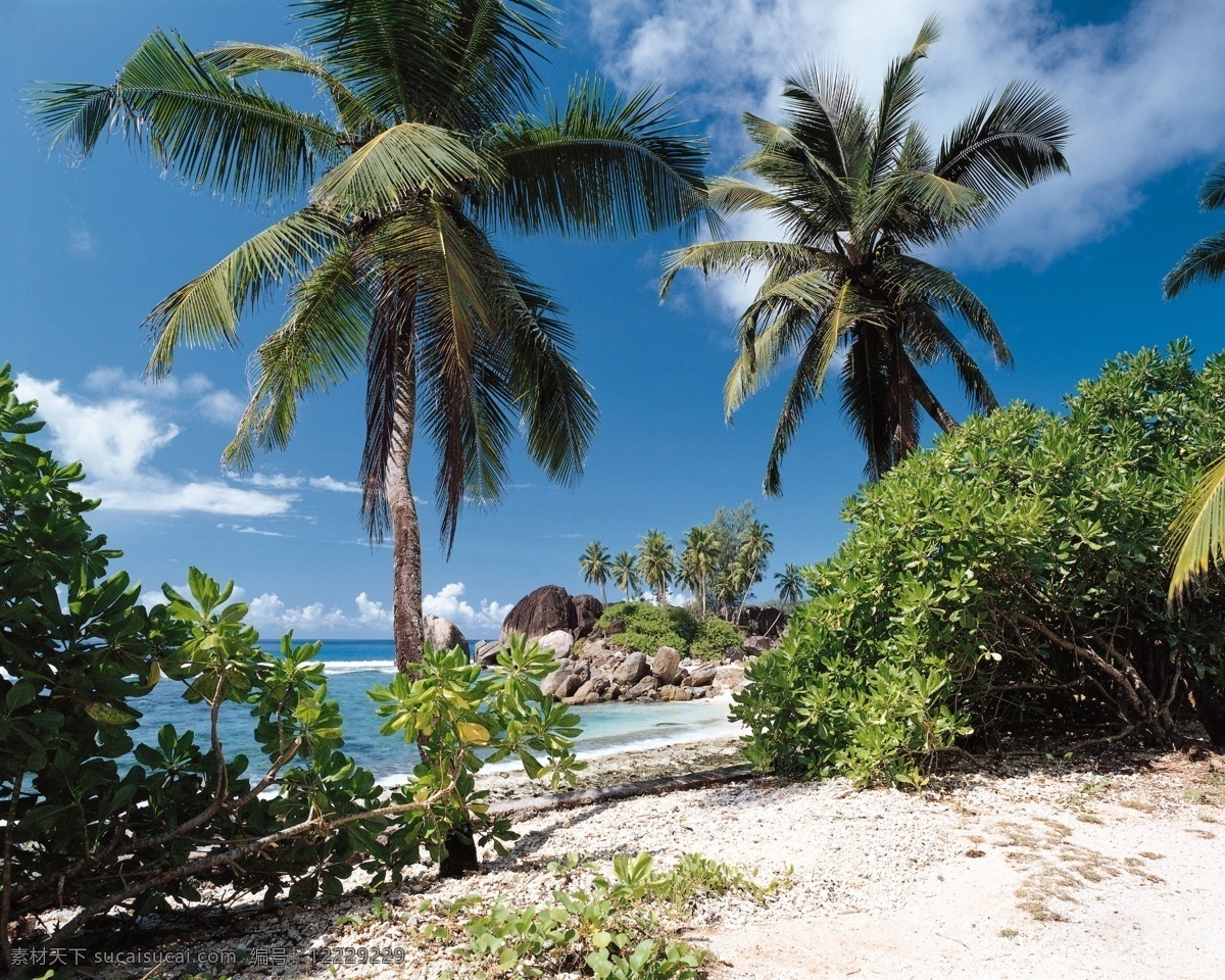 海滩风光 白云 大海 海景 海滩 蓝色 蓝天 阳光 滩风光 椰树 seacape 海上 花 自然风景 自然景观 psd源文件
