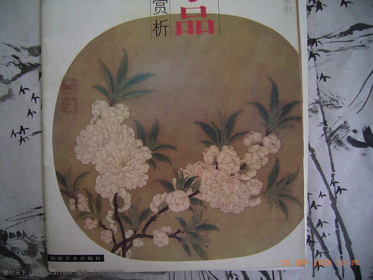 宋人 花鸟 白花 国画 宋人花鸟画 古代绘画 文化艺术