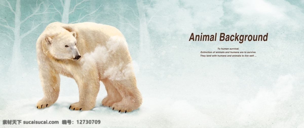 彩 铅 画 效果 动物 分层 背景 北极熊 动物背景 冬季 雪地 树林 烟雾 热气 彩铅效果 白色