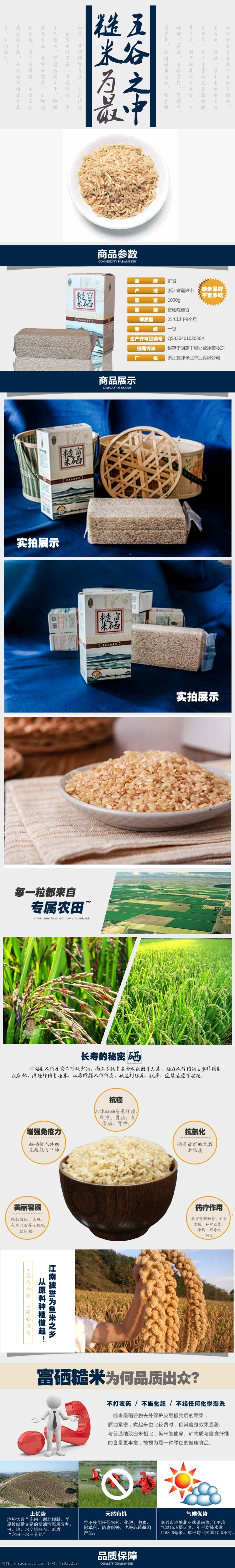 富硒糙米 产品实拍 糙米详情页 白色
