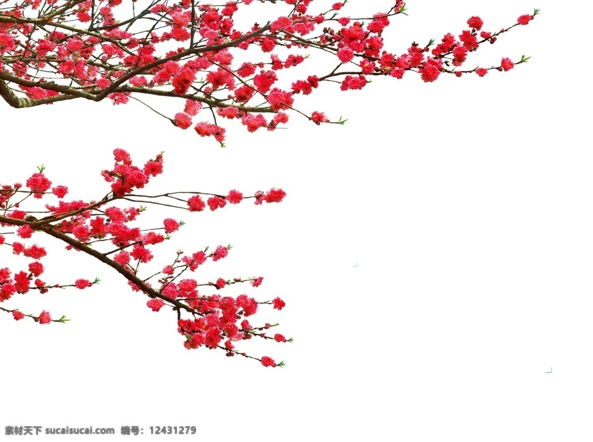 桃花 花 花朵花草 卡通花朵 插画图片 唯美花朵 花朵贺卡 花朵儿 花元素 免扣花素材 免扣花 手绘花朵 金色花朵 花朵背景 底纹 手绘 手绘花纹 矢量花朵 免抠花朵 彩色花 插画 艺术花 花朵叶子 花朵 叶子 花朵树叶 植物树叶 树叶花草 插画花朵 花草 花纹花草 花形 psd素材