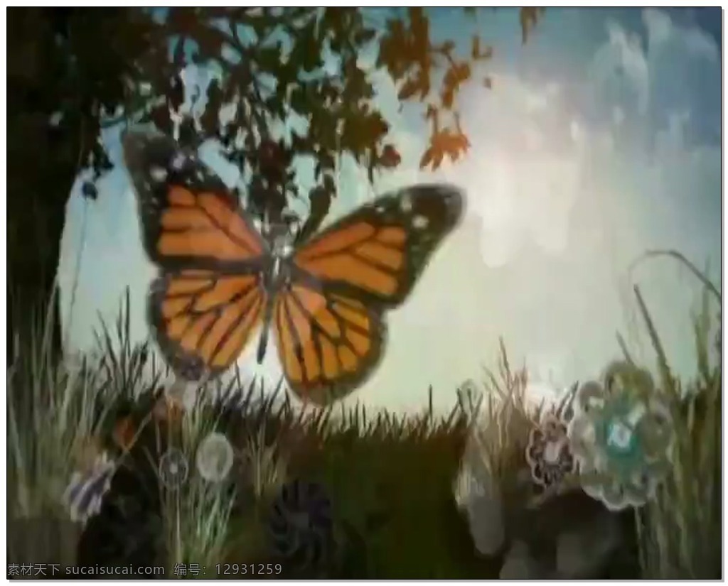 蝴蝶 漂亮 视频 高清视频素材 视频素材 动态视频素材 花草 树木