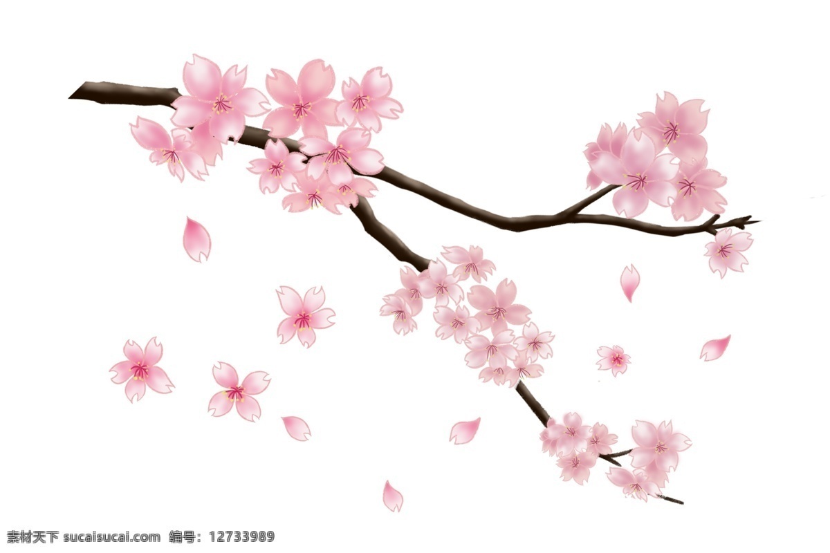 手绘 植物 樱花 飘落 插画 粉色 春季 开满花的树 粉红 粉色花瓣 春季樱花盛开 植物樱花飘落