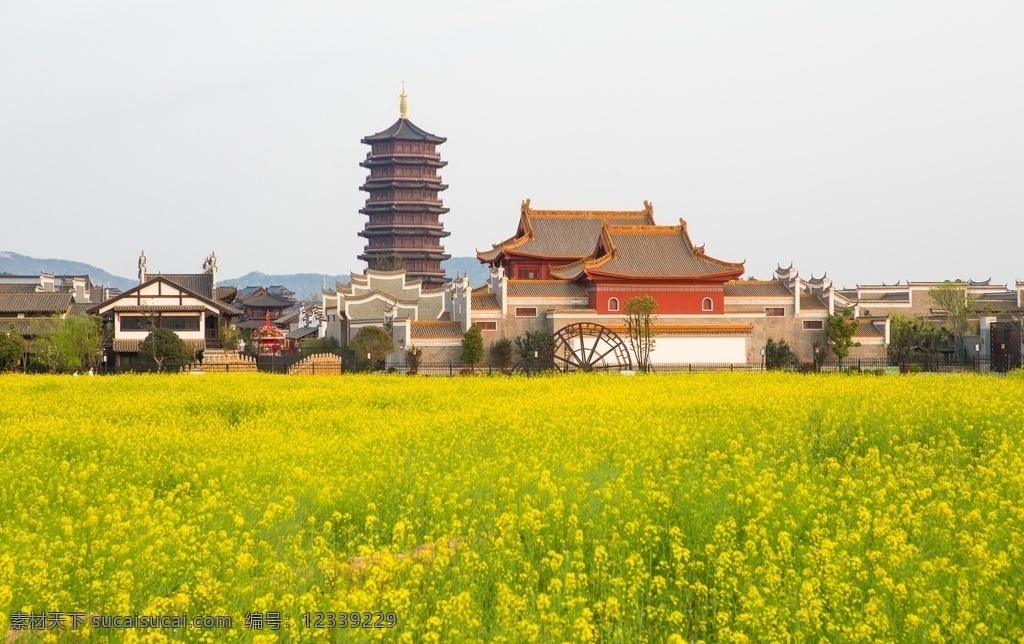 油菜花 古镇外景 新华联 湖南 长沙 旅游风光摄影 旅游摄影 国内旅游 铜 官窑 古镇 2020