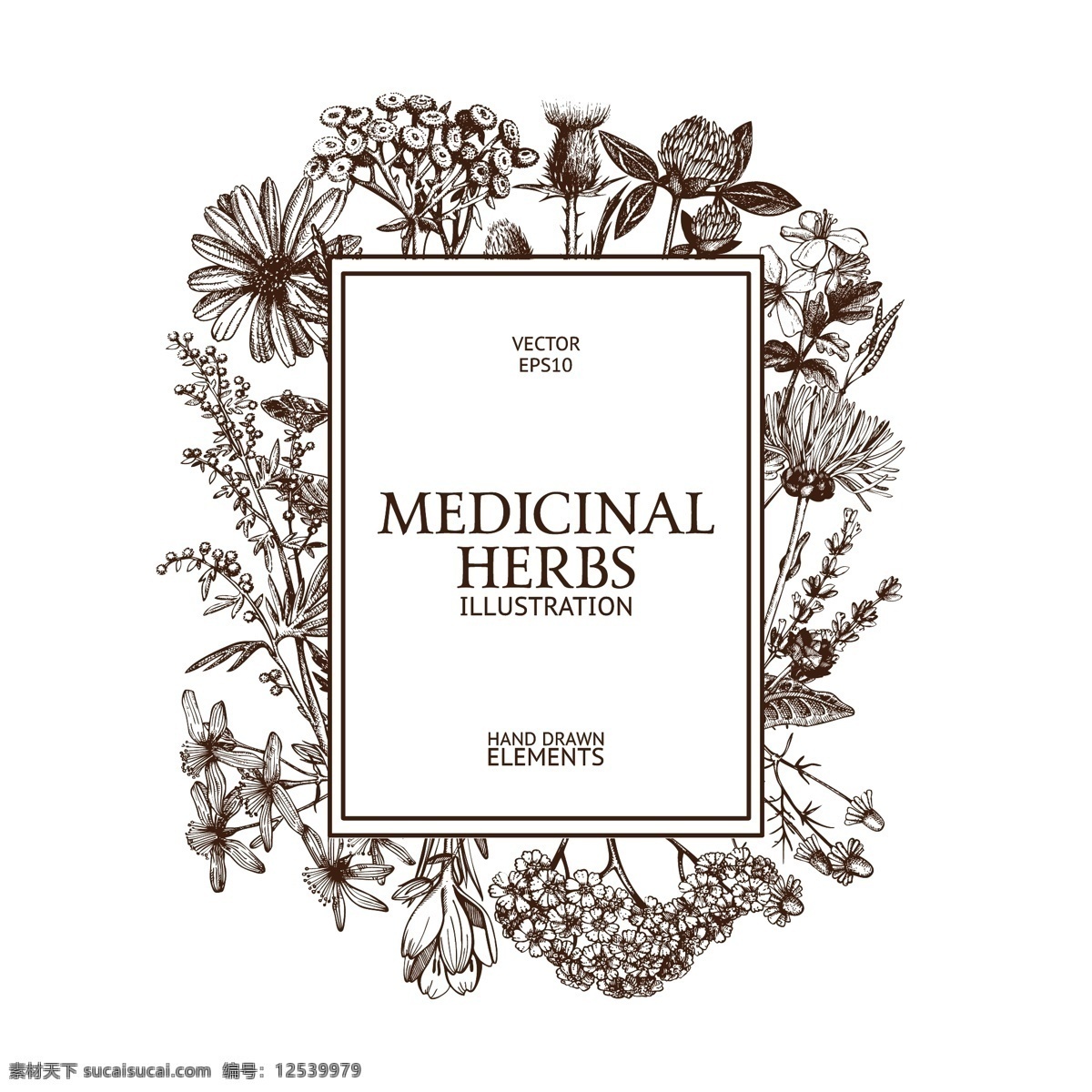 咖啡色 风干 植物 花朵 底纹