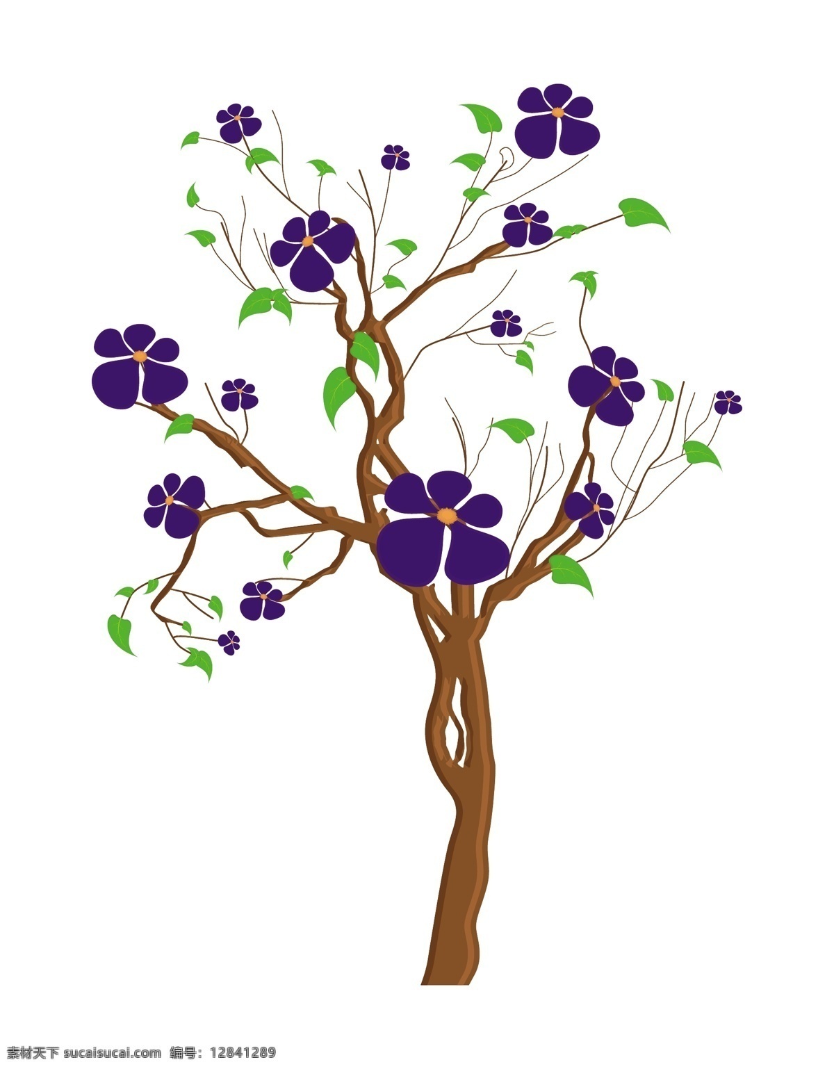 紫色 花朵 树枝 白色