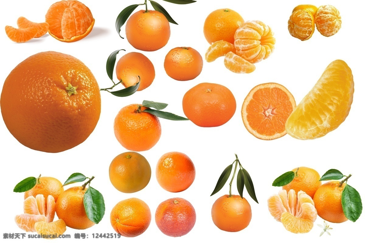 橘子 透明素材 png抠图 水果 新鲜水果 美味水果 柠檬 青柠 黄柠檬 酸柠檬 橙子 杆子 香橙 柚子 砂糖橘 芦柑 冰糖橙 丑橘 非 原创 透明 合 辑 分层