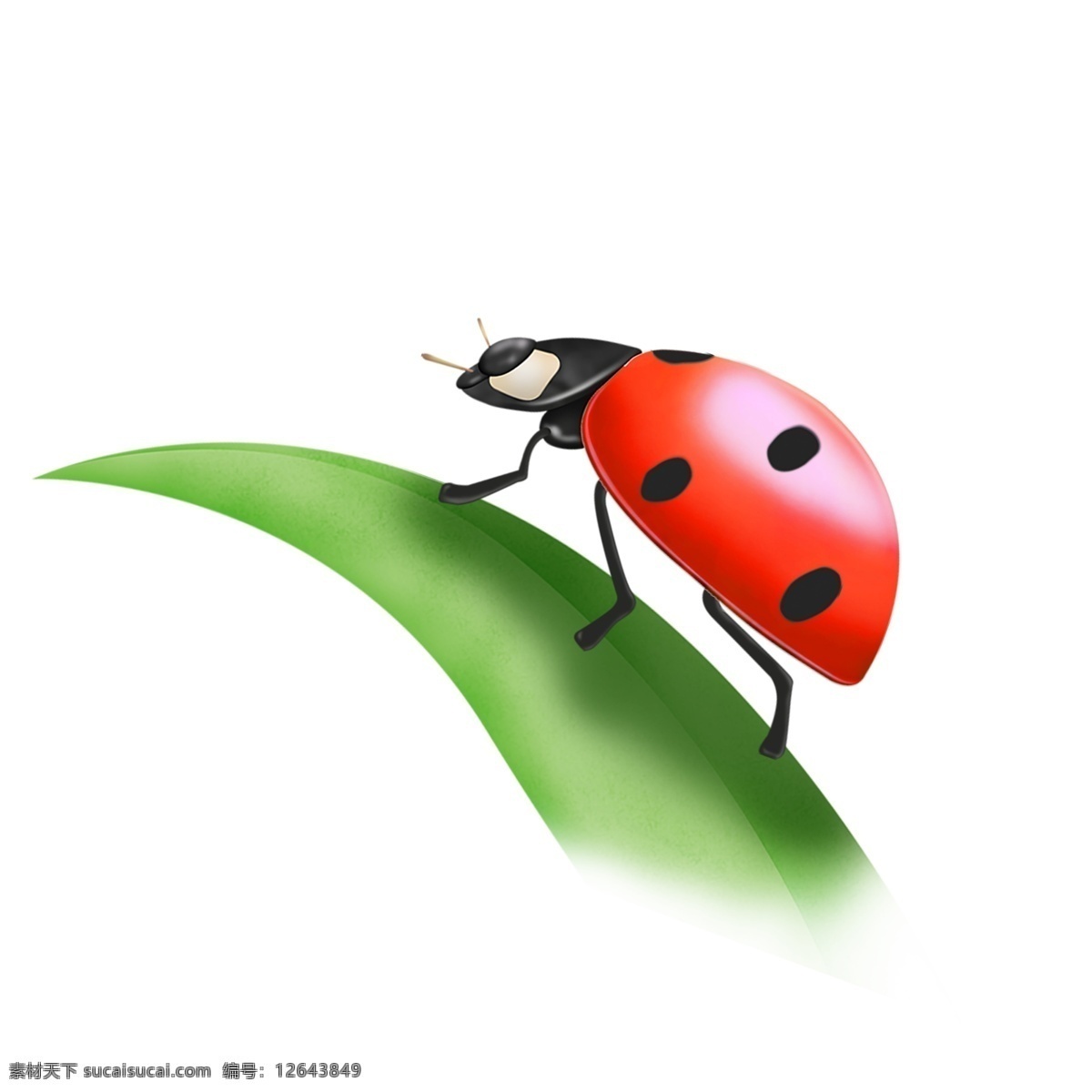 手绘 七星 瓢虫 叶子 惊蛰 卡通 元素 七星瓢虫 虫 春天 设计元素 植物 动物