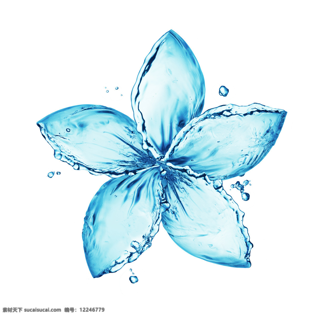 创意 水 组成 花瓣 图案 高清 大图 水滴