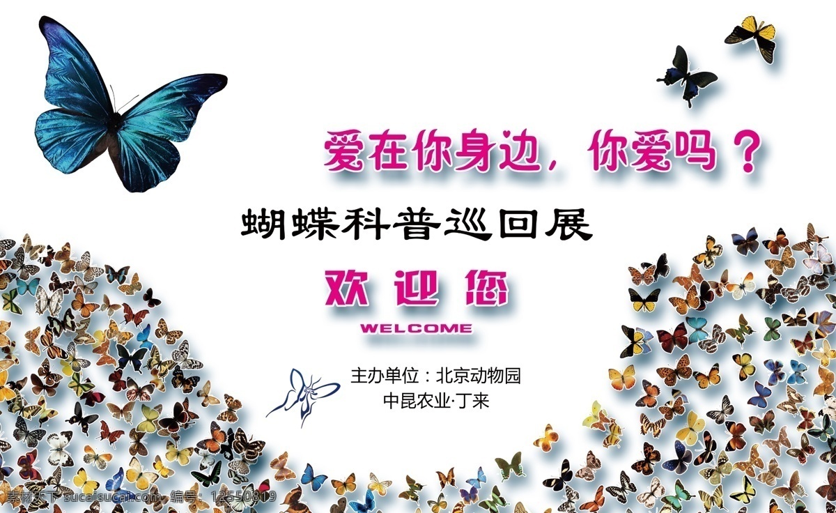 蝴蝶 科普 巡回展 科普巡回展 背景 你爱吗 北京动物园 招贴设计 白色