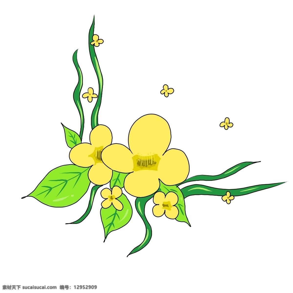 边框 装饰 油菜花 黄色的 叶子 花朵 免扣图 原创手绘 绿色的 边框装饰 手绘 卡通