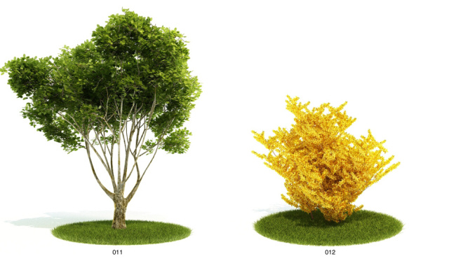 大树 植物 花草 模型 3d模型素材 动植物模型