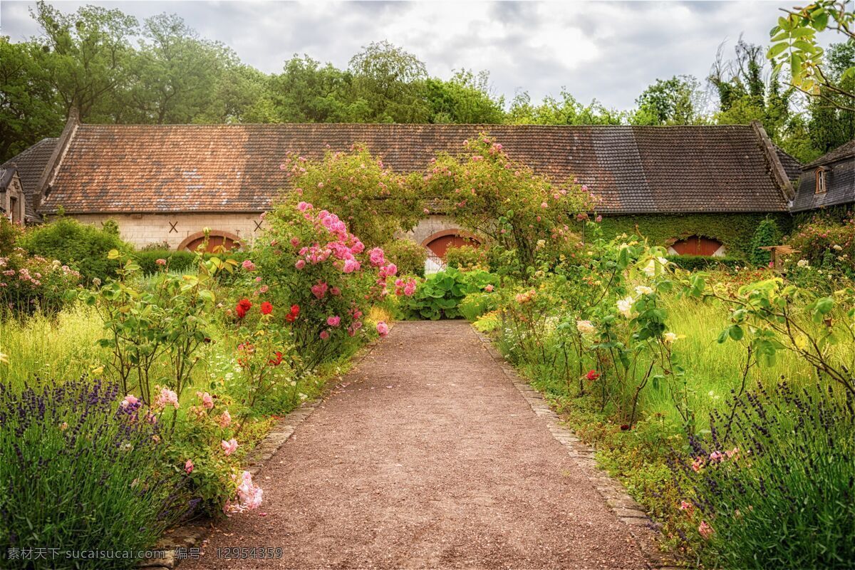 花园 自家种植 环境 生存 自然 花卉 房子 舒适 生物世界 花草