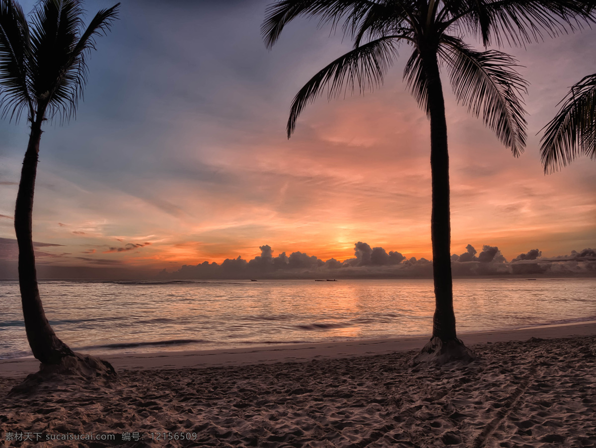 海边 椰树图片 海 沙滩 椰子树 天空 落日 云