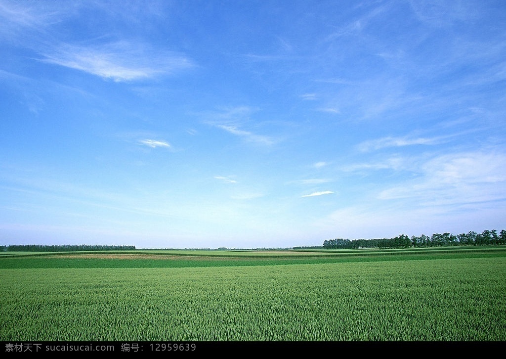 陆地旷野 蓝天白云绿地 地产 很 好 自然景观 田园风光 风景类 摄影图库