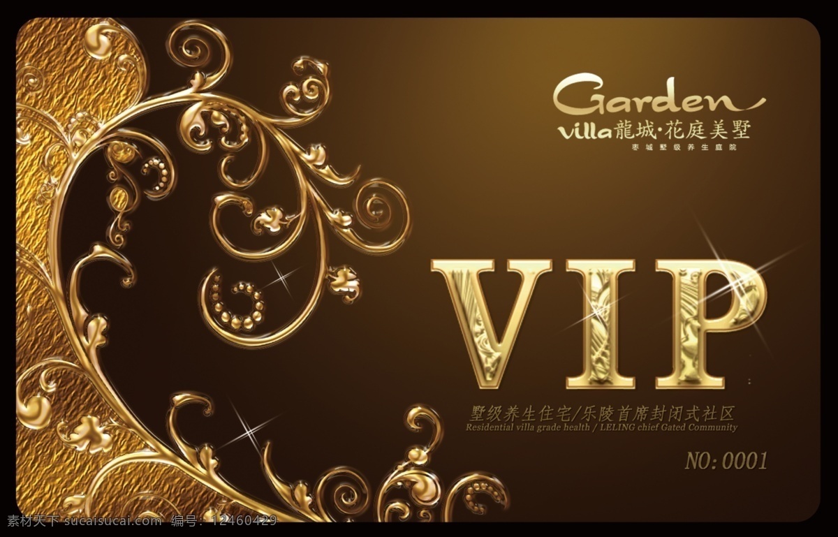 vip贵宾卡 会员卡 vip卡 贵宾卡 金卡 欧式vip卡 vip 高档vip卡 金属质感 房地产 卡 尊贵 华丽 高贵 广告设计模板 源文件 名片卡片