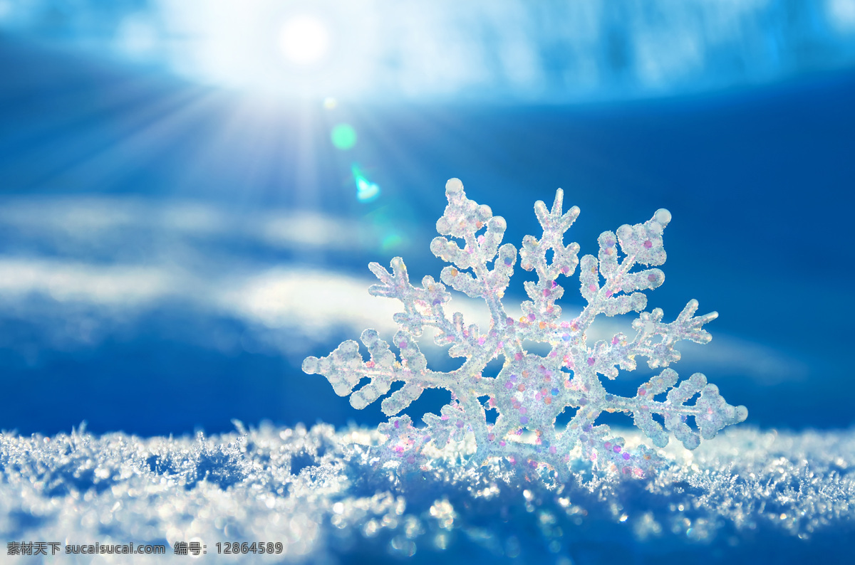 阳光 美丽 雪花 雪 雪地 雪地背景 雪花背景 白雪 积雪 冬天雪景 其他风光 风景图片