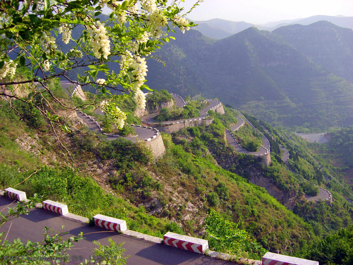 青州 仰 天山 九龙 盘 仰天山 益都 潍坊 槐花 青州风光 国内旅游 旅游摄影