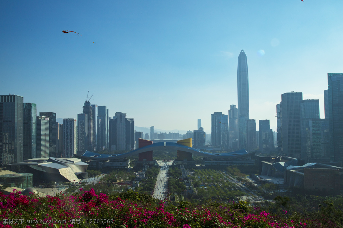 深圳莲花山 植物 风景 山上 屋梁 自然景观 自然风景