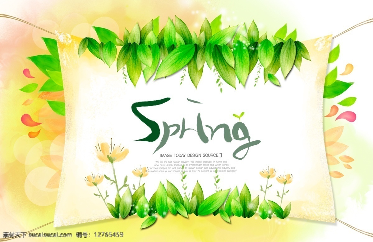 韩国 风格 花卉 插画 绿色 春天 韩国风格