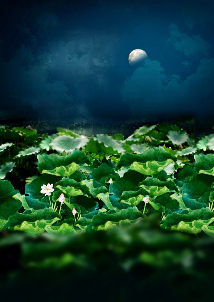 河塘月色 影楼 背景 荷花 池塘 月色 自然风光 自然景观