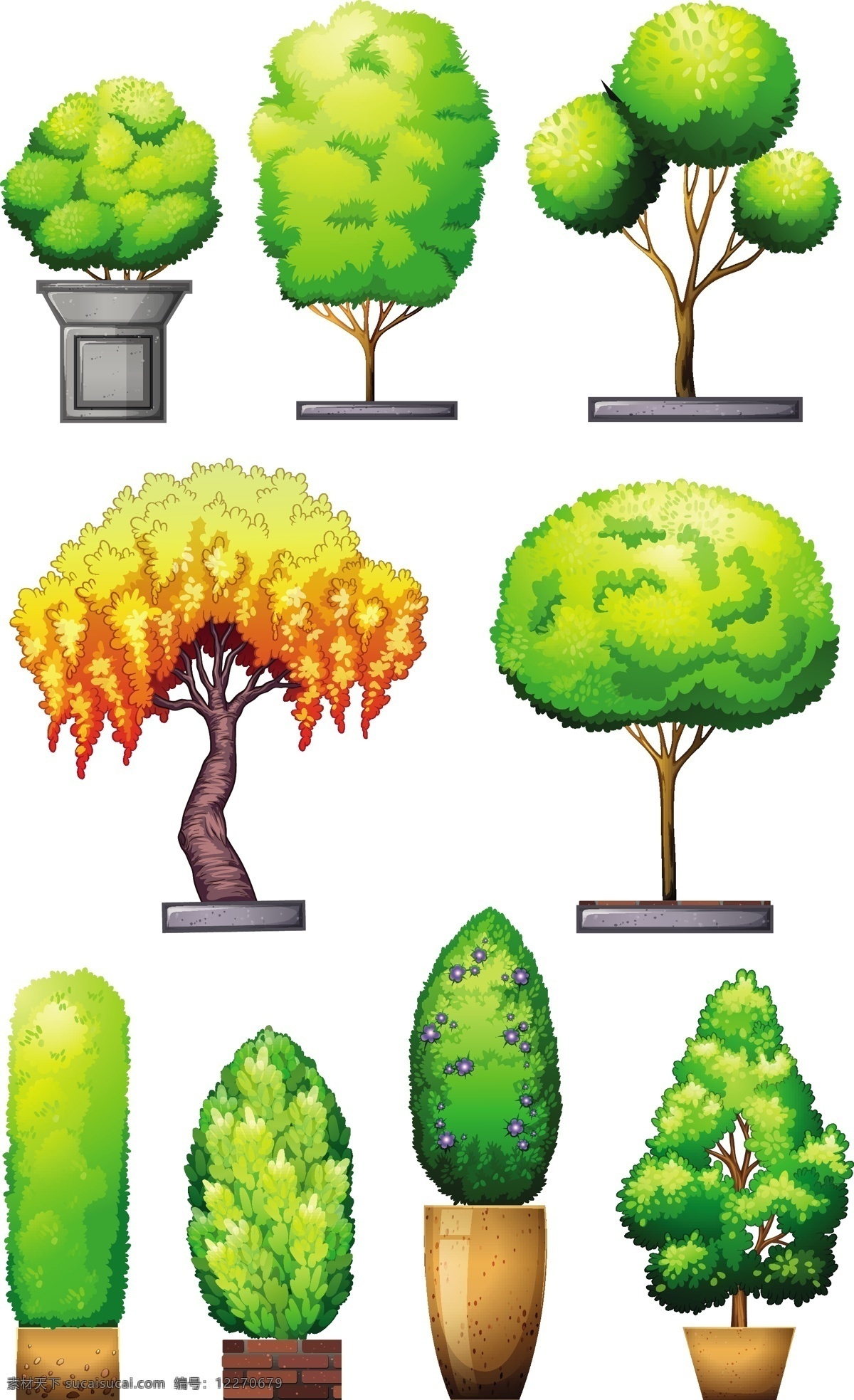 绿色 盆栽 植物 卡通 树木 盆景