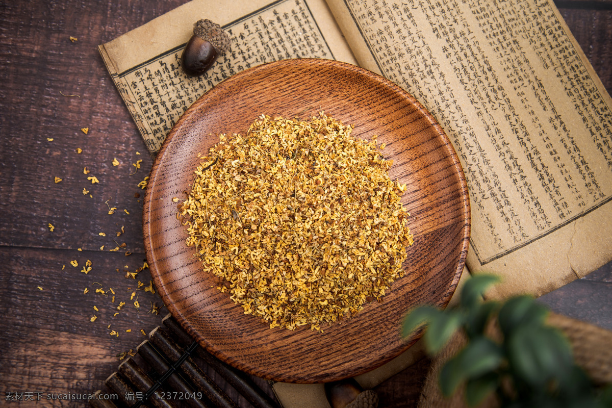 中医 药材 图 中草药 药物 中医理疗 药材摄影 草本植物 草本药材 晒干药材 传统中医