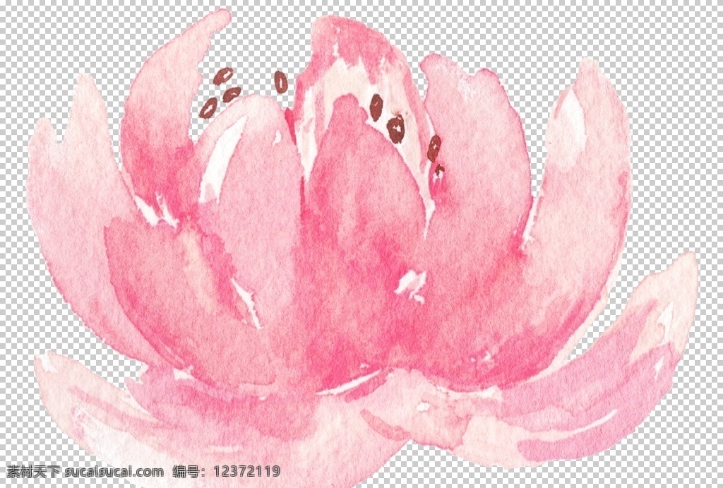 小 清新 水彩 绘画 花朵 小清新绘画 水彩绘画 淡色花朵 植物花卉 树枝花瓣 婚礼装饰 文化艺术 绘画书法