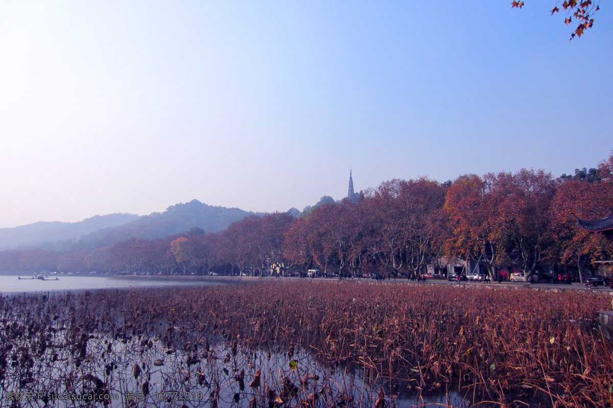 西湖风光 西湖 枫叶 荷叶 蓝天 远山 保俶塔 干枯荷叶 自然风景 旅游摄影