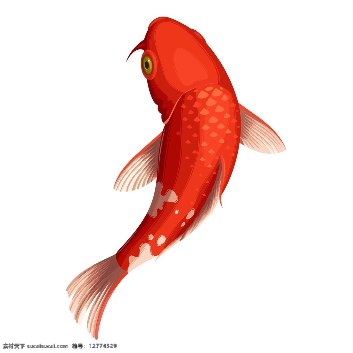 手绘 可爱 红色 鲤鱼 动物 元素 透明素材 免抠元素