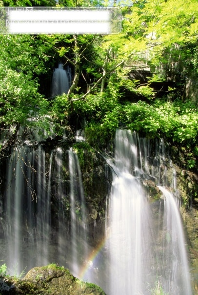 树免费下载 风景 山水风景 摄影图 树 植物 自然景观 水 家居装饰素材 山水风景画