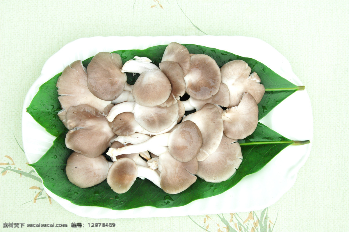 秀珍菇 菌类 蘑菇类 野山菌 真菌菜品 菜 餐饮美食 传统美食
