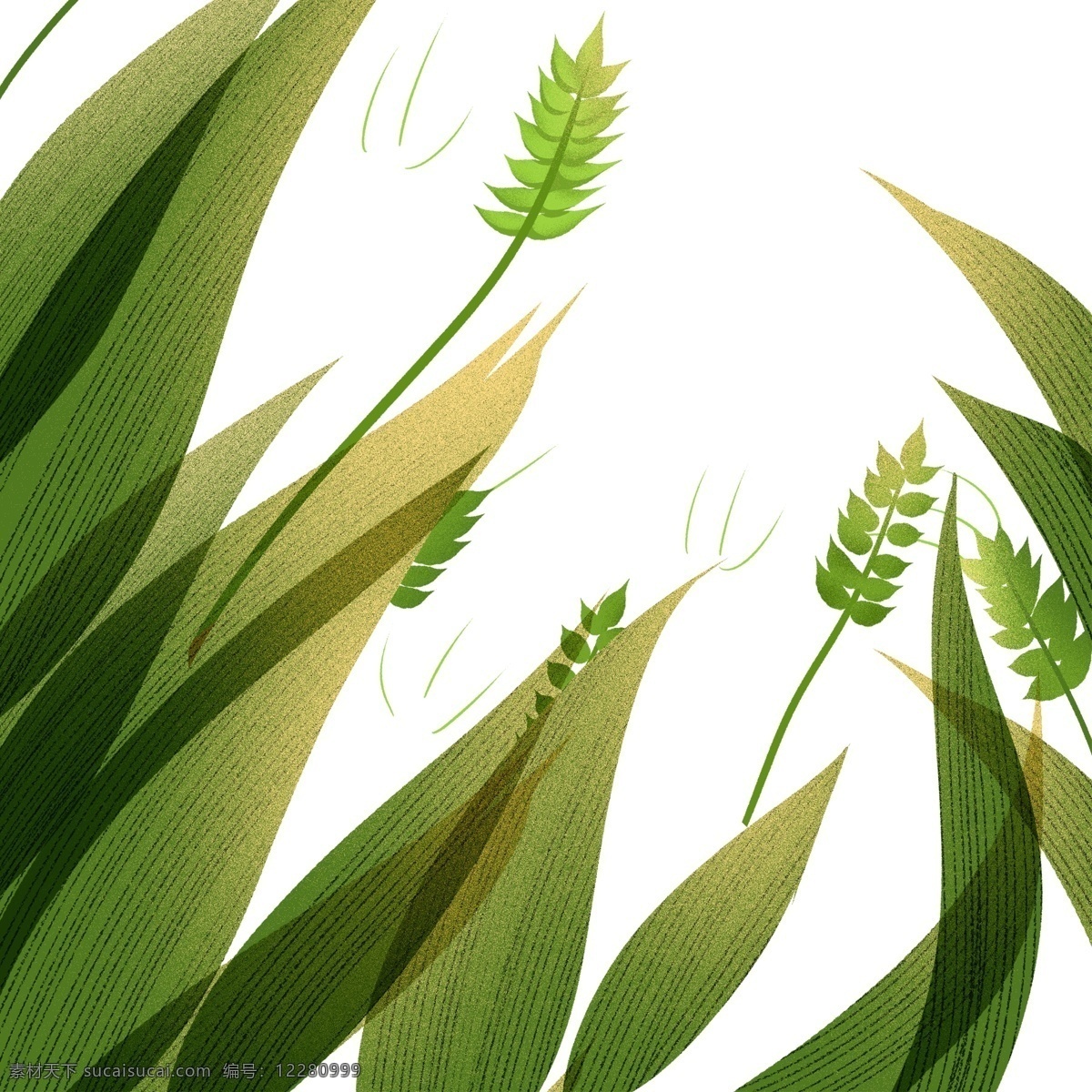 植物 草丛 装饰 插画 绿色 树叶 卡通 彩色 小清新 创意 手绘 绘画元素 现代 简约 图案