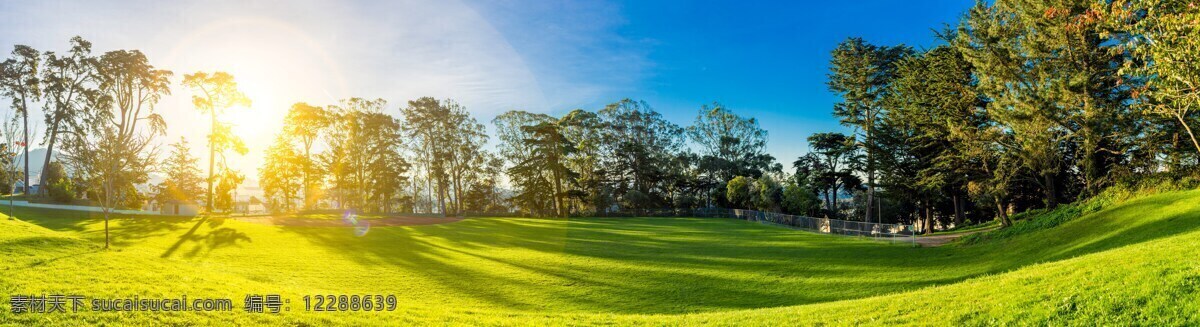 高清 蓝天 白云 绿树 绿林 草地 绿草 大树 阳光 高尔夫球场 背景图 光晕 自然景观 自然风景