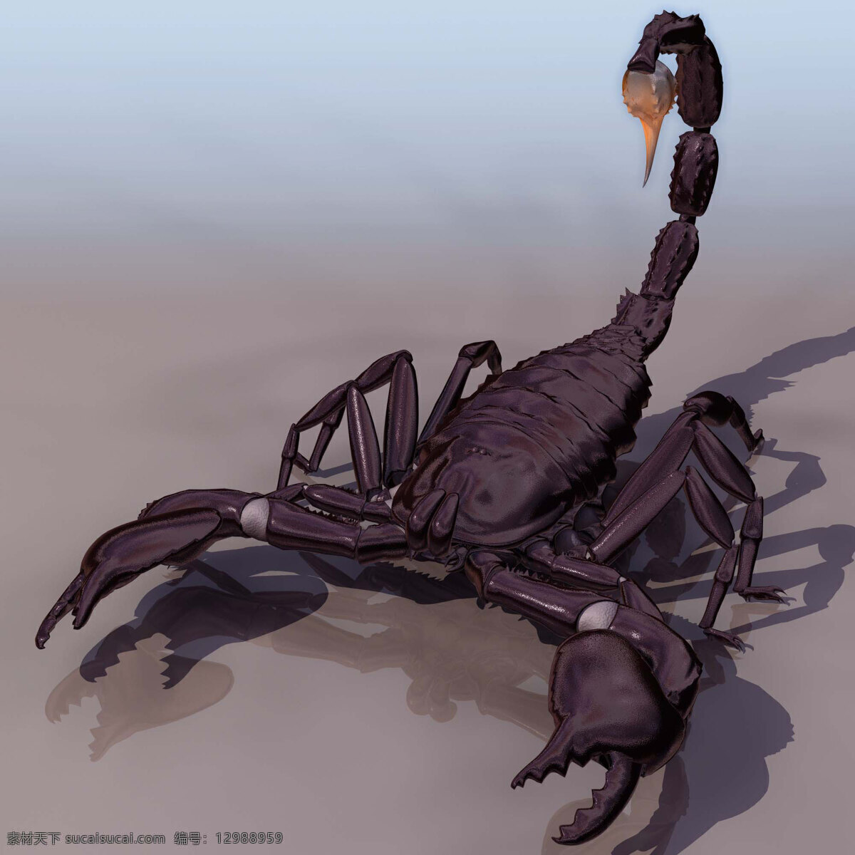 蝎子模型01 scor 蝎子模型 动物模型 陆生动物 3d模型素材 动植物模型