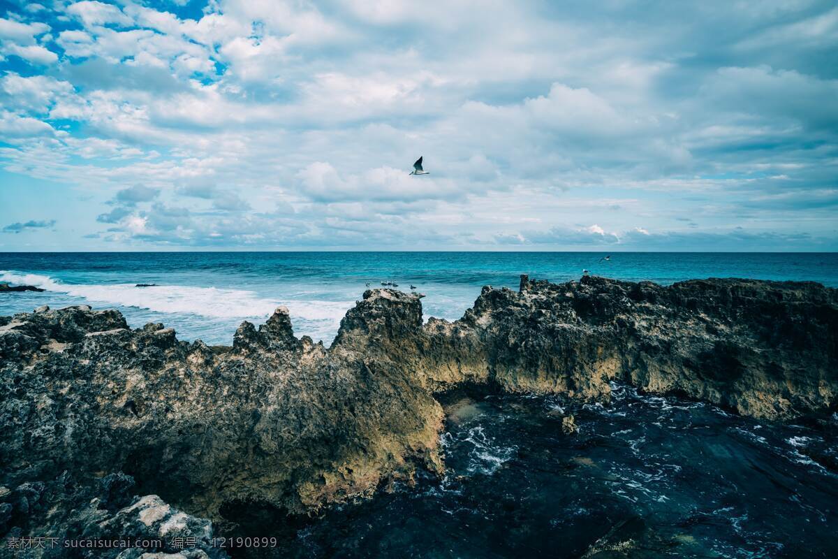 自然风景 海边 海岸 沿海 岩石 景观 天空 云彩 自然 户外 海鸥 岛 鸟 自然景观