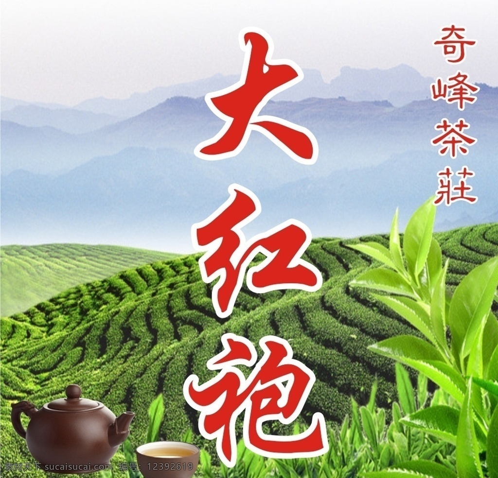 大红炮 茶行 海报 茶叶 茶山 矢量