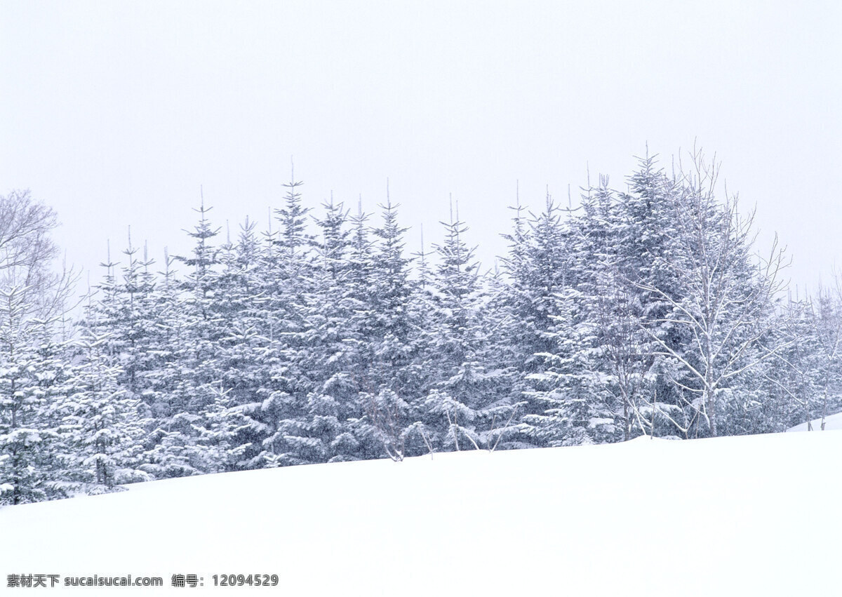 冰雪 景象 雪 冰雪摄影 冰雪景象 风景 生活 旅游餐饮