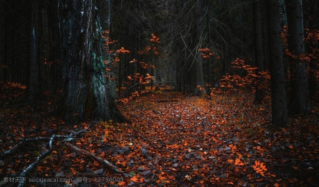 风景图片 风景 桌面壁纸 自然景观 自然风景 壁纸图片 壁纸 山水风景 山水画图片 河流 唯美图片 风景画 风景壁纸 唯美壁纸 唯美素材 背景图片 背景素材 蓝天白云 大自然 高清风景图片 拍摄 生态 绿叶 花 草 植物 植物特写 拍摄素材