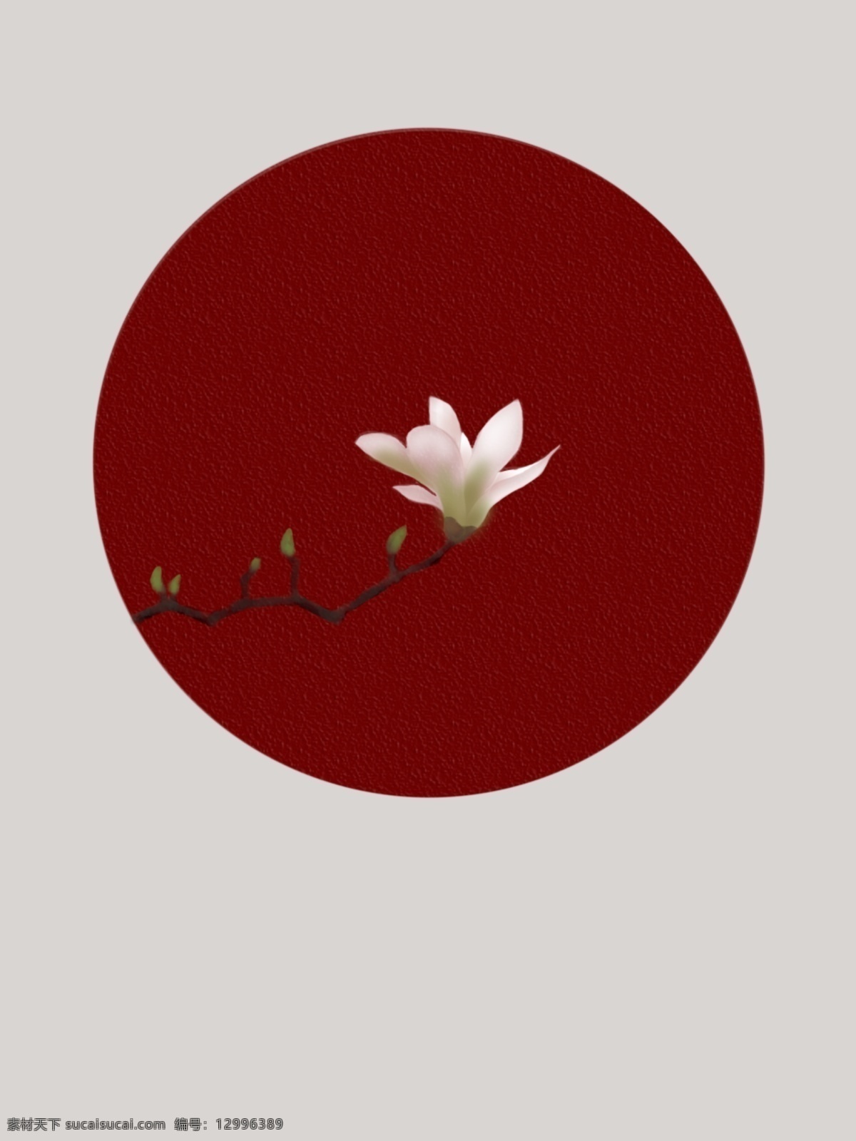 红墙 玉兰 花卉 手绘 复古 背景 白玉兰