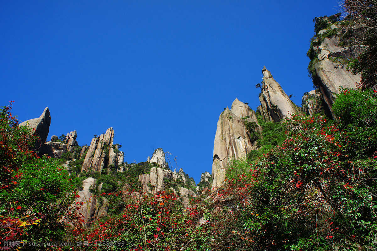 风景 风景画 风景摄影 风景素材 古树 国内旅游 旅游摄影 旅游胜地 三清山 风景图片 三清山风景 迎客松 三清山迎客松 迎客松图 古松树 山水风景 山水摄影 装饰画模板 山水素材 风景山水摄影 自然景观 江西 上饶 装饰素材 山水风景画