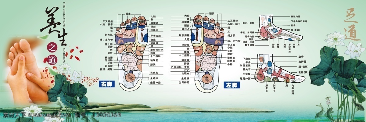 足底穴位图 足疗 足疗穴位图 足疗保健 足疗展板 足疗素材