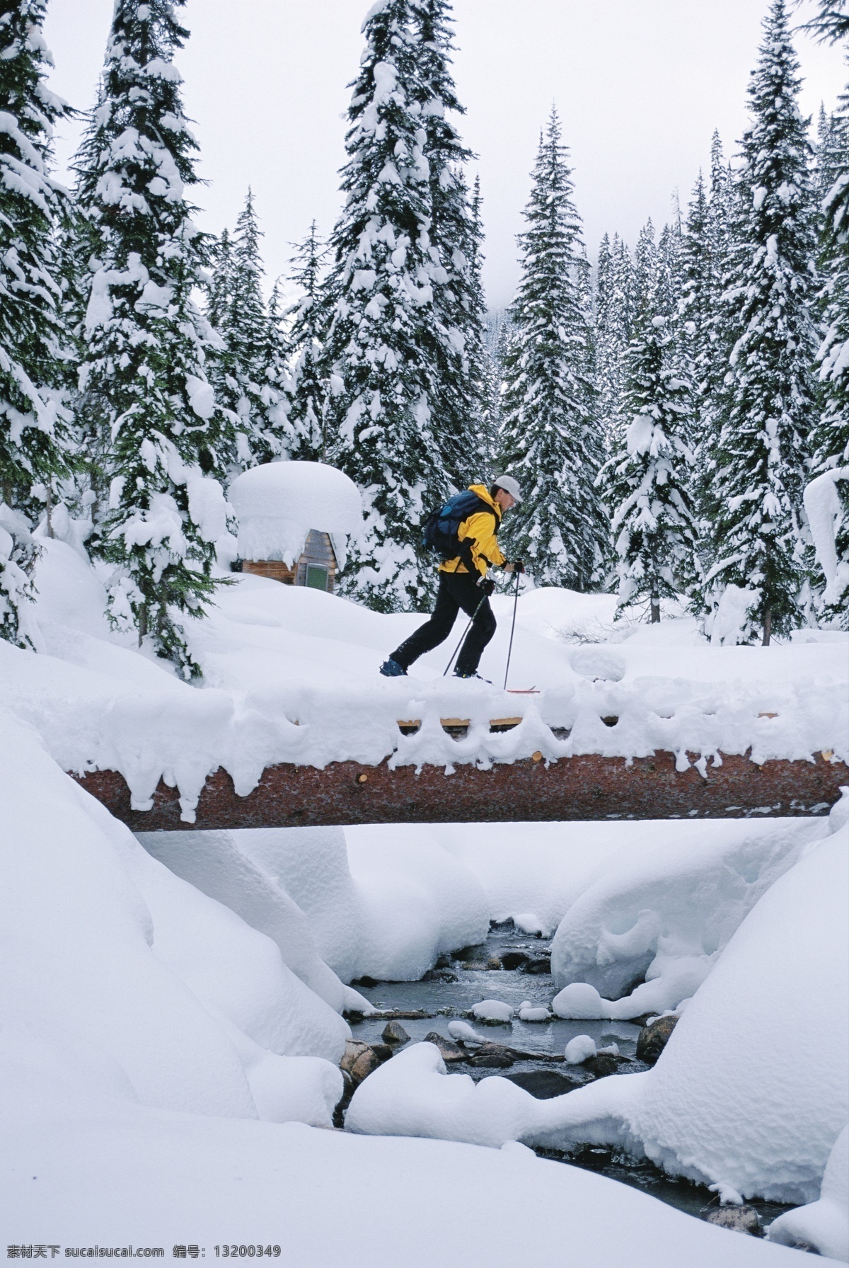 雪地 上 滑雪 运动员 高清 雪地运动 划雪运动 极限运动 体育项目 运动图片 生活百科 雪山 风景 摄影图片 高清图片 体育运动 白色