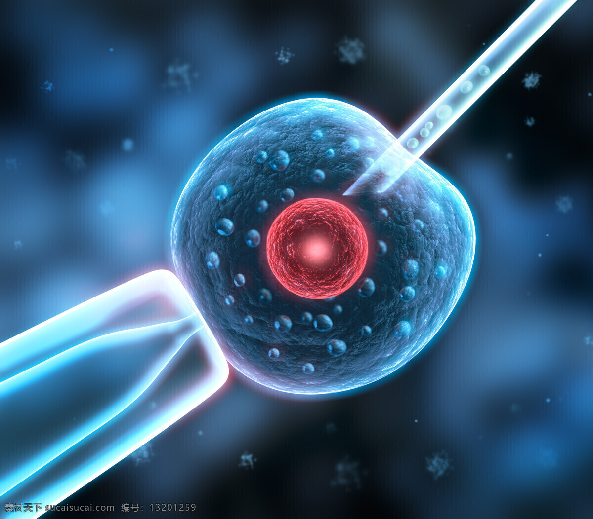 人工授精 唯美 炫酷 科技 科学 受精 遗传学 试管婴儿 人工繁殖 3d设计