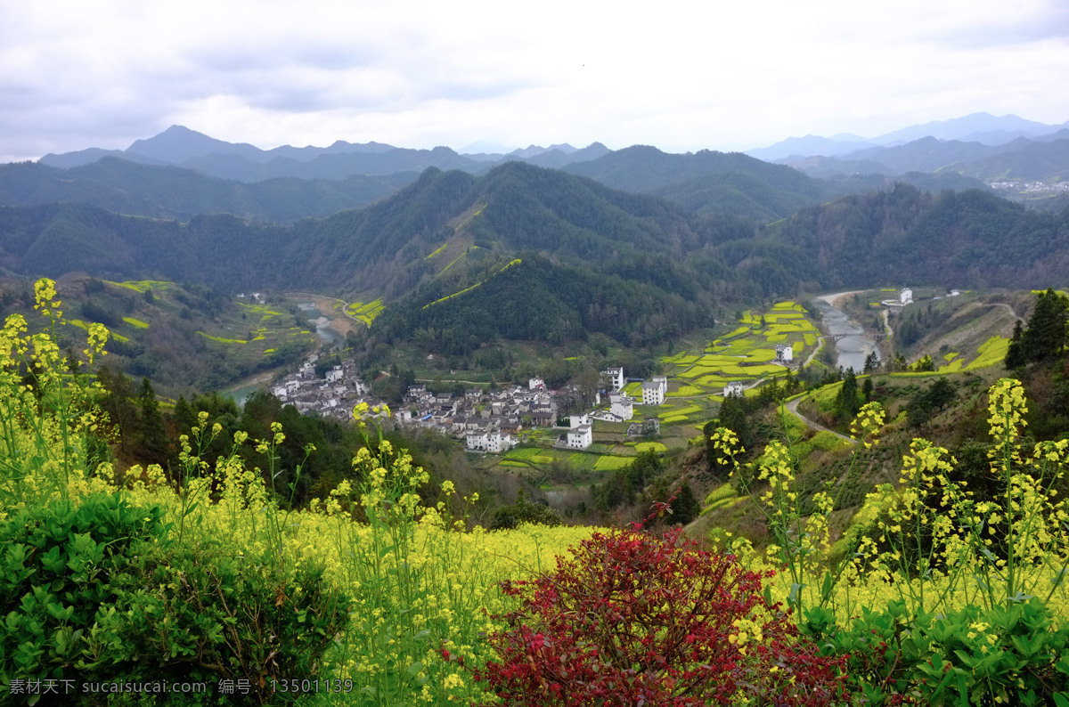 石潭村风光 乡村风光 歙县石潭村 油菜花 旅游 石潭村安徽 歙县 石潭村 徽州 青山 景观 乡村自然风光 乡野 徽州风光 安徽歙县 石潭油菜花 石潭 石潭之旅 自然景观 风景名胜
